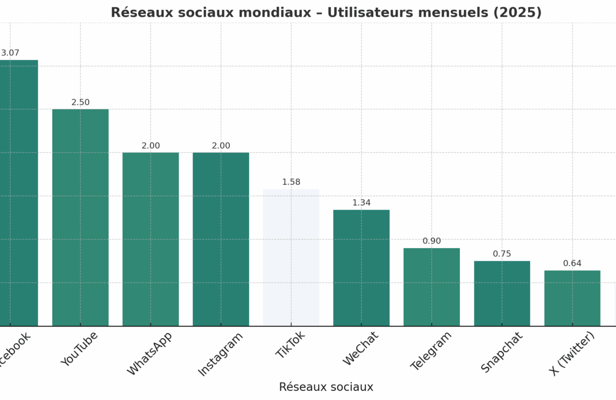  Quels réseaux sociaux méritent vraiment votre attention en 2025 ?